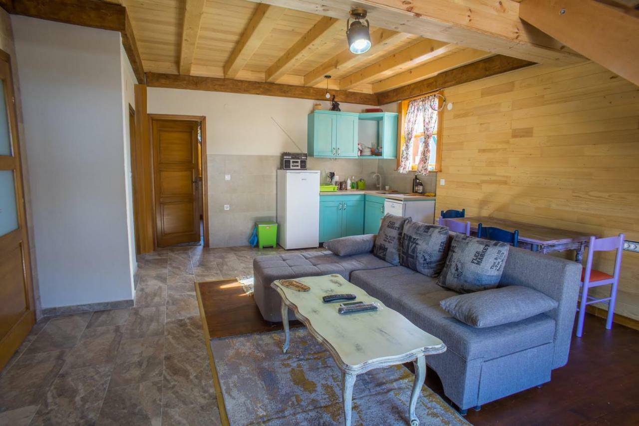 Chalet F&V Radosavovic Zabljak  Bagian luar foto